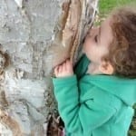 Changing the way we look at Early Childhood Playsettings Paperbark tree love