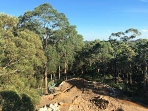Projects under construction Shout Ridge Forest