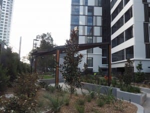 Arcadia projects nearing completion garden