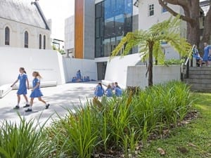 Arcadia's outdoor teaching and learning environments Monte School